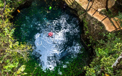 Cenotes: los tesoros subterráneos de Yucatán.